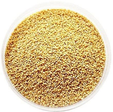 Natural Foxtail Millet Seeds For Cattle Feed, Human Consumption