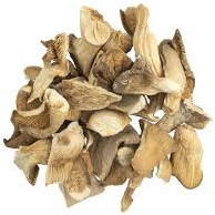 Brown Oyster Mushroom For Cooking