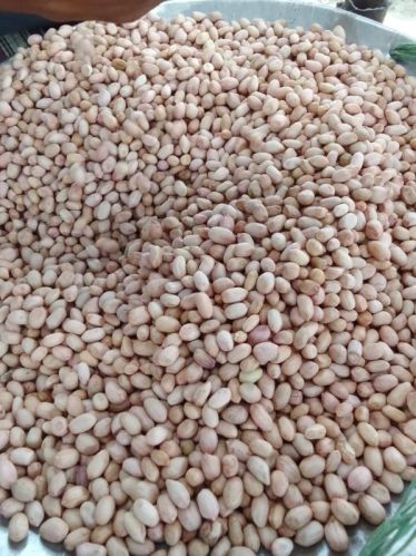 Common Natural Peanut Kernels For Butter, Cooking Use, Making Oil