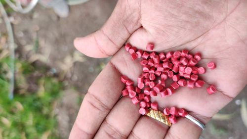 Reprocessed PP Granules, Color : Blue, Green, Red, White