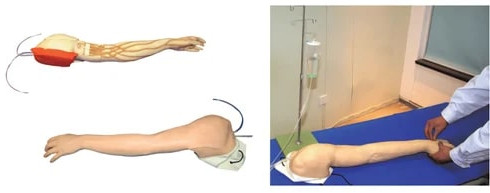 Full Functional IV Training Manikin For Medical Colleges, Nursing Institutes