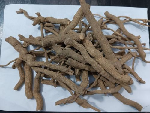 Sarpagandha Roots For Ayurveda, Medicinal