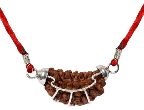 1 Mukhi Half Moon Rudraksha Beads, Weight (Gram) : 2 Gm