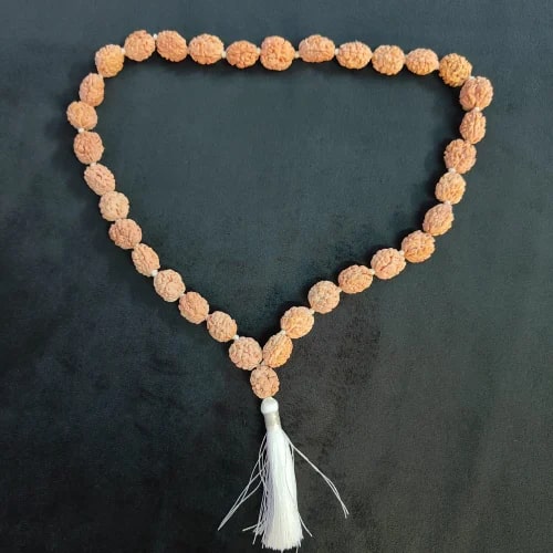 2 Mukhi Himalayan Rudraksha Mala For Religious