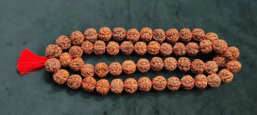 6 Mukhi Kantha Rudraksha Mala For Religious