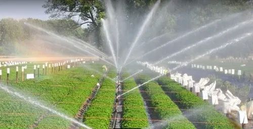 Godavari HDPE Drip Irrigation System, Shape Of Dripline : Cylindrical