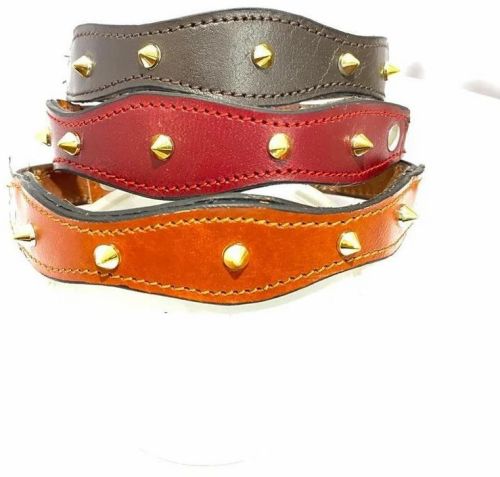 1.00 Inch Curve Shape Leather Collar
