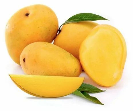 Fresh Mango For Human Consumption