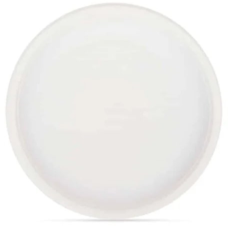 10 Inch Plain Round Sugarcane Bagasse Plates