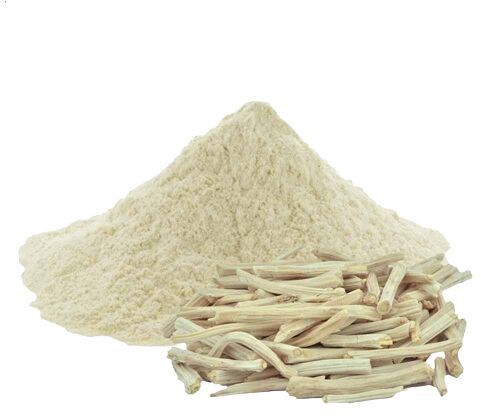 Organic Shatavari Powder, Color : White