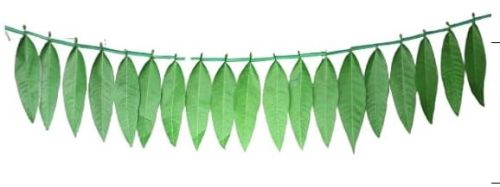 Plain Artificial Aam Patta Bandhanwar For Door Decoration