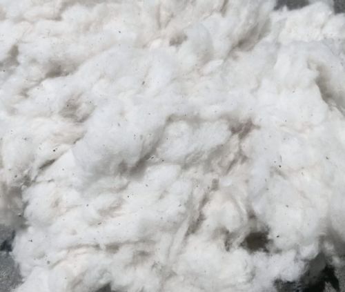 Indian Cotton Flat Waste, Color : White