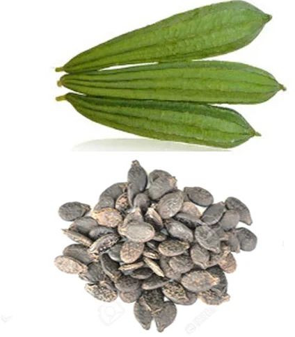 Vamshadhara Ridge Gourd Seed For Sowing