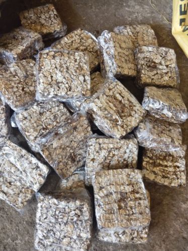 More Than 10 Years Fresh Tamarind, Taste : Sour With Sweetness