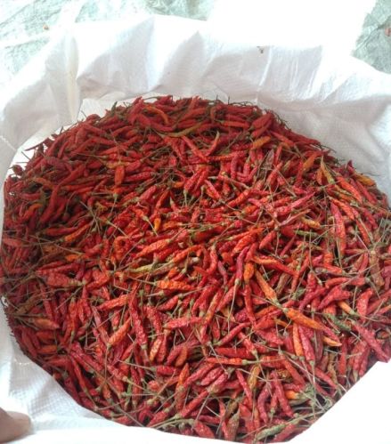 Birds Eye Red Chilli For Food