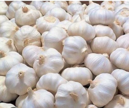 Garlic, Certification : FSSAI Certified