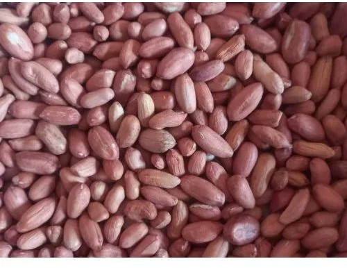 Bold Groundnut Seeds For Food, Cooking, Agriculture