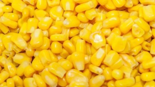 Corn DDGS For Animal Feed