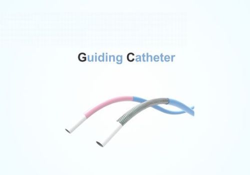 Guiding Catheter, Packaging Type : Sterile
