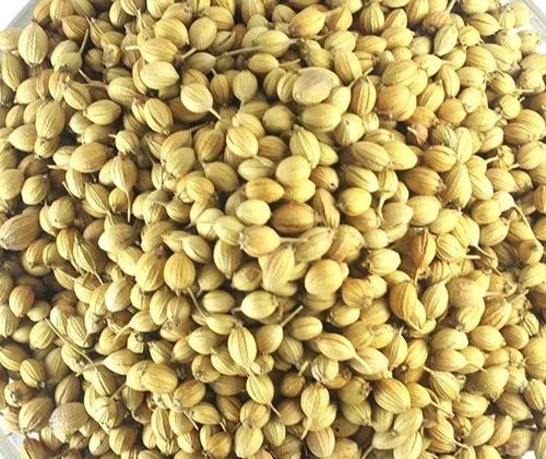 Natural Coriander Seeds For Cooking