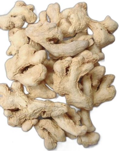 Common Dry Ginger For Spices