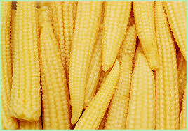 Baby Corn, Packaging Type : Plastic Bag