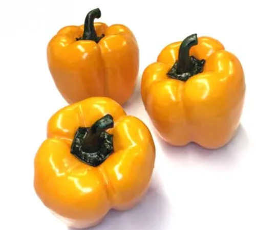 Bell Pepper, Packaging Type : Plastic Bag