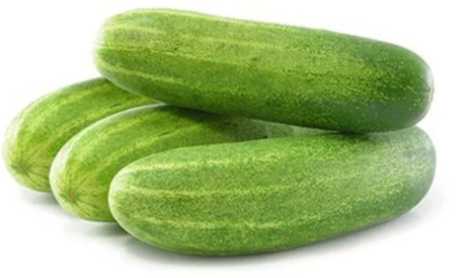 Cucumber, Packaging Size : 5-10kg