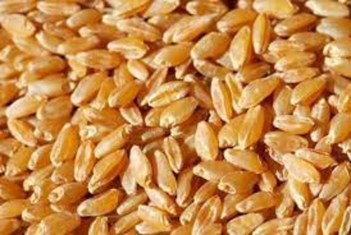 Natural Durum Wheat For Cooking