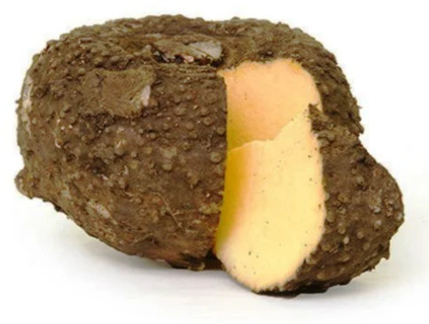 Elephant Yam, Packaging Size : 5 Kg