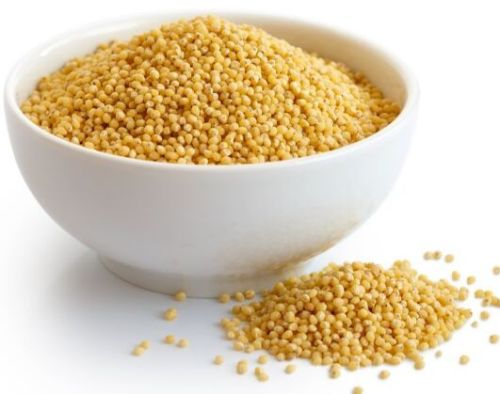 Common Natural Foxtail Millet