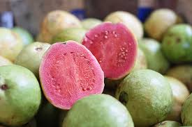 Common Pink Guava For Restaurant, Hotel, Home