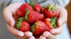 Strawberry, Packaging Size : 1Kg