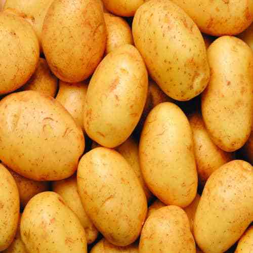 Natural Fresh Potato, Packaging Size : 20 Kg