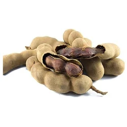 Natural Tamarind For Food Medicine