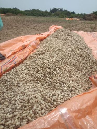 Groundnuts 2x1, Brand Name : Mitra Exim, Packaging Size : 5kg