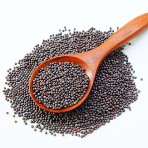 Natural Black Mustard Seeds 12% (Max)