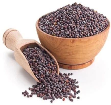 Brown Mustard Seeds For Human Consumption/Oil Purpose