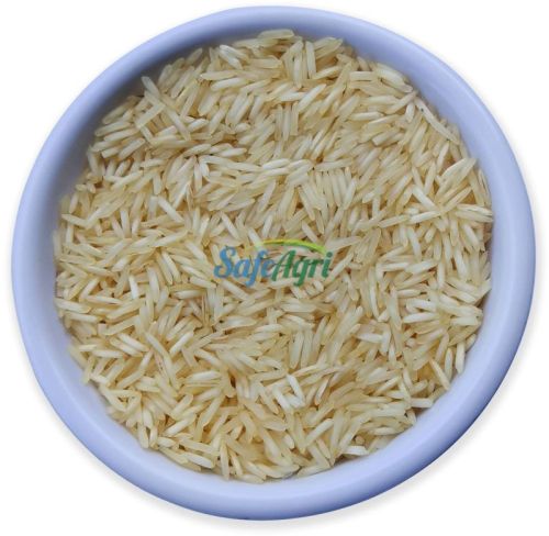 Safeagri Fully Polished Common Hard 1509 Steam Basmati Rice For Cooking, Food, Human Consumption