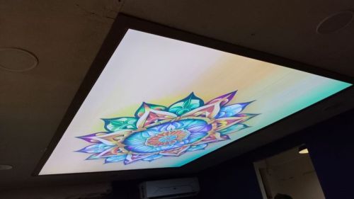 PVC Bathroom 3D Stretch Ceiling, Ceiling Tile Shape : Customize