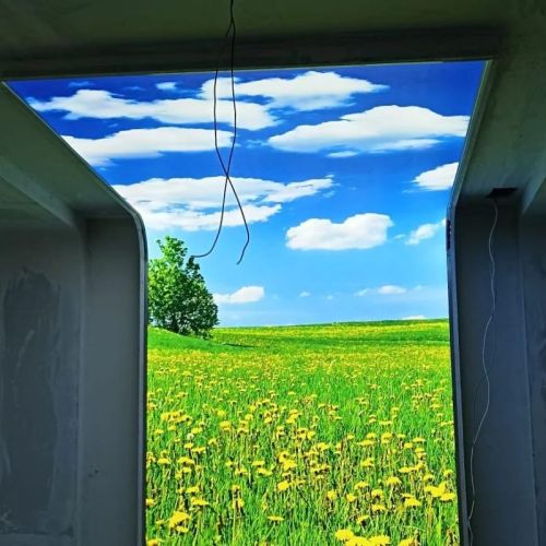 PVC Biophilic Stretch Ceilings