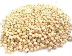 Sorghum Seeds For Cooking