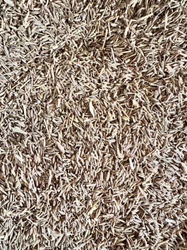 ATIL JEERA Blended Natural Cumin Seeds, Certification : FSSAI Certified