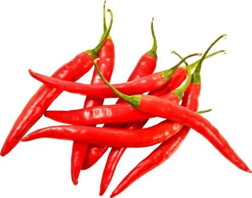 Fresh Red Chilli For Cooking