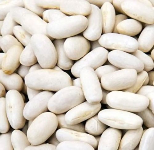 Beans White Factory Sale Various Natural Health Sugar Beans Dry Bulk White Kidney Beans