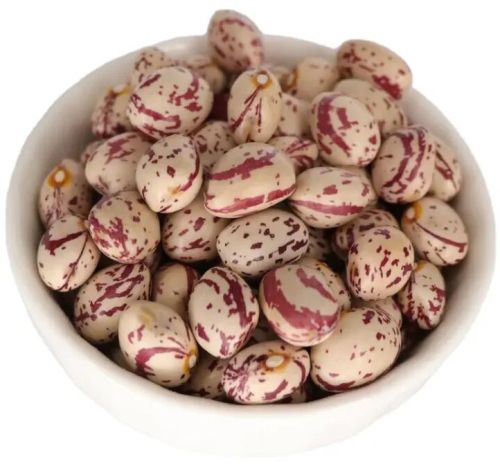 Natural Sugar Beans, Packaging Type : Brown