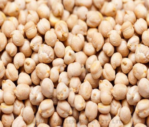 Organic White Chickpeas For Cooking