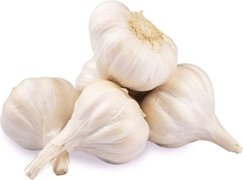 Organic Fresh White Garlic For Snacks, Fast Food, Cooking