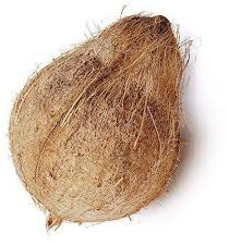 Raw Organic Semi Husked Coconuts for Pooja, Cooking