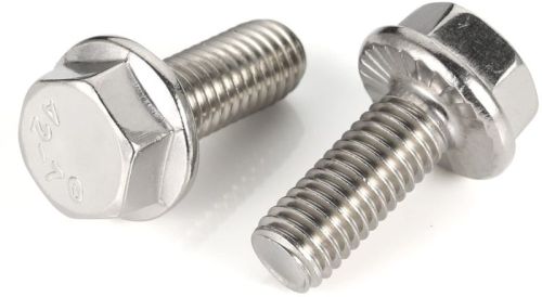 Stainless Steel Polished Flange Screw, Head Shape : Hexagonal